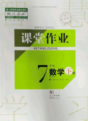 武汉出版社2023智慧学习天天向上课堂作业七年级数学下册人教版参考答案