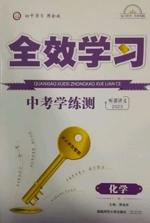 湖南师范大学出版社2023全效学习中考学练测九年级化学通用版参考答案