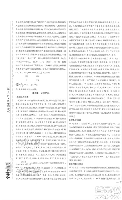 吉林人民出版社2023全科王同步课时练习九年级化学下册人教版参考答案