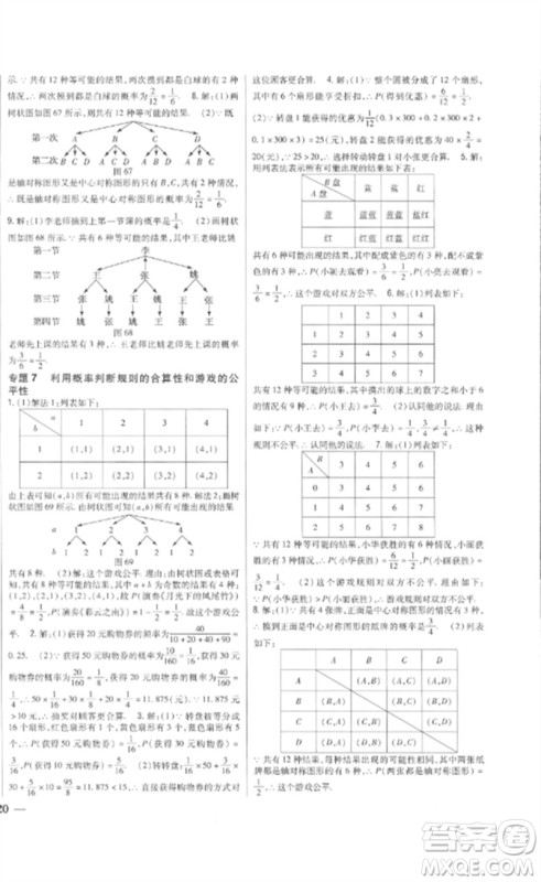 吉林人民出版社2023全科王同步课时练习九年级数学下册青岛版参考答案