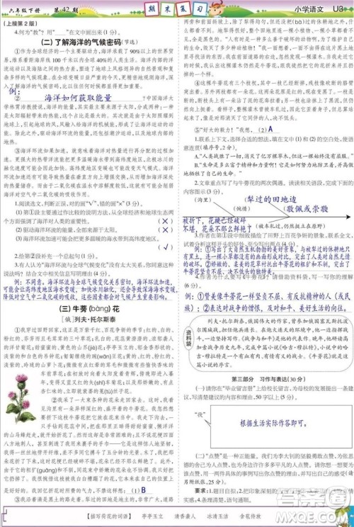 2023年春少年智力开发报六年级语文下册统编版第39-42期答案 2023年春少年智力开发报六年级语文下册统编版第39-42期答案