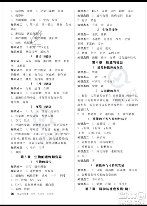 阳光出版社2023全品作业本九年级下册科学华师版参考答案