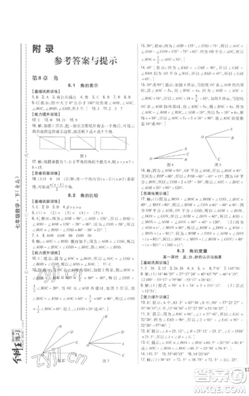 吉林人民出版社2023全科王同步课时练习七年级数学下册青岛版参考答案