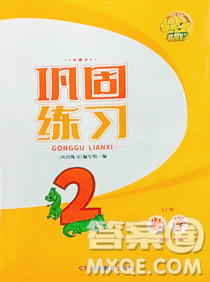 湖南教育出版社2023巩固练习二年级下册数学苏教版参考答案