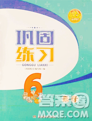 湖南教育出版社2023巩固练习六年级下册数学苏教版参考答案 湖南教育出版社2023巩固练习六年级下册数学苏教版参考答案