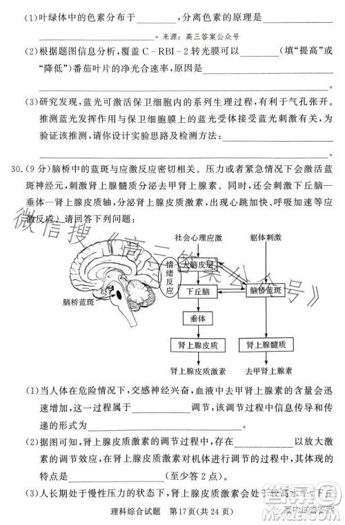 湘豫名校联考2023年5月高三第三次模拟考试理科综合试卷答案 湘豫名校联考2023年5月高三第三次模拟考试理科综合试卷答案