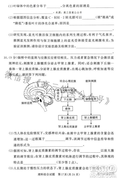 湘豫名校联考2023年5月高三第三次模拟考试理科综合试卷答案