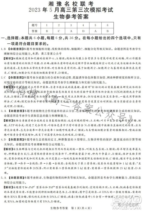 湘豫名校联考2023年5月高三第三次模拟考试理科综合试卷答案