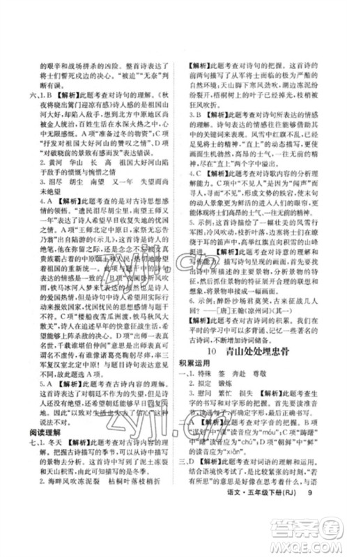 沈阳出版社2023课堂点睛五年级语文下册人教版福建专版参考答案 沈阳出版社2023课堂点睛五年级语文下册人教版福建专版参考答案