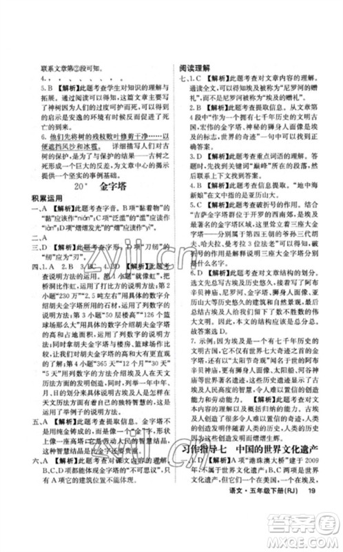 沈阳出版社2023课堂点睛五年级语文下册人教版福建专版参考答案 沈阳出版社2023课堂点睛五年级语文下册人教版福建专版参考答案