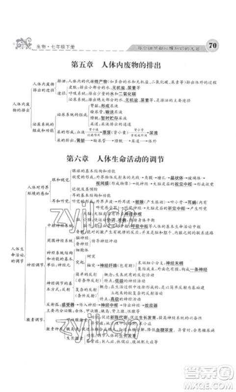 四川大学出版社2023课堂点睛七年级生物下册人教版参考答案