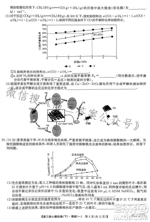 九师联盟2022-2023学年高三核心模拟卷下理科综合一答案