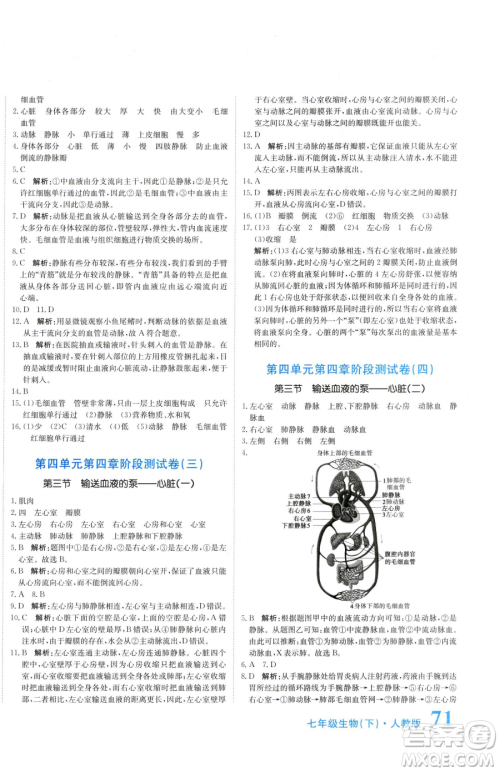 北京教育出版社2023提分教练优学导练测七年级下册生物人教版参考答案