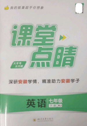 四川大学出版社2023课堂点睛七年级英语下册人教版安徽专版参考答案