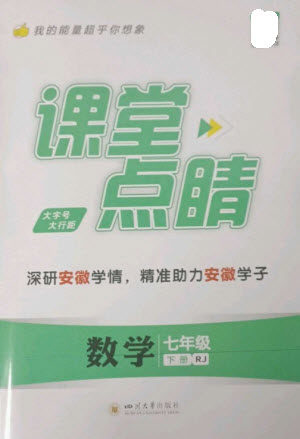 四川大学出版社2023课堂点睛七年级数学下册人教版安徽专版参考答案