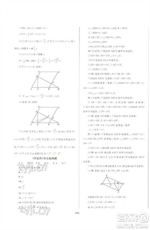 延边大学出版社2023中考先锋中考总复习九年级数学通用版参考答案