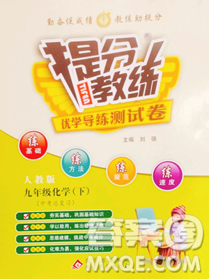 北京教育出版社2023提分教练优学导练测九年级下册化学人教版参考答案