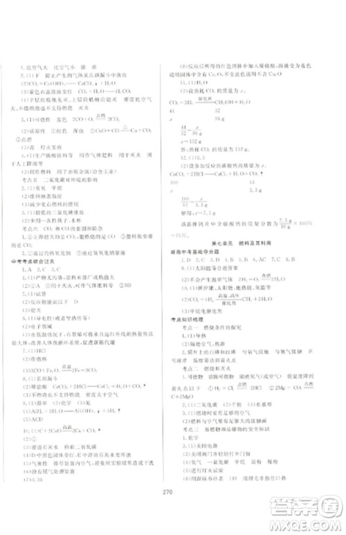 延边大学出版社2023中考先锋中考总复习九年级化学通用版参考答案