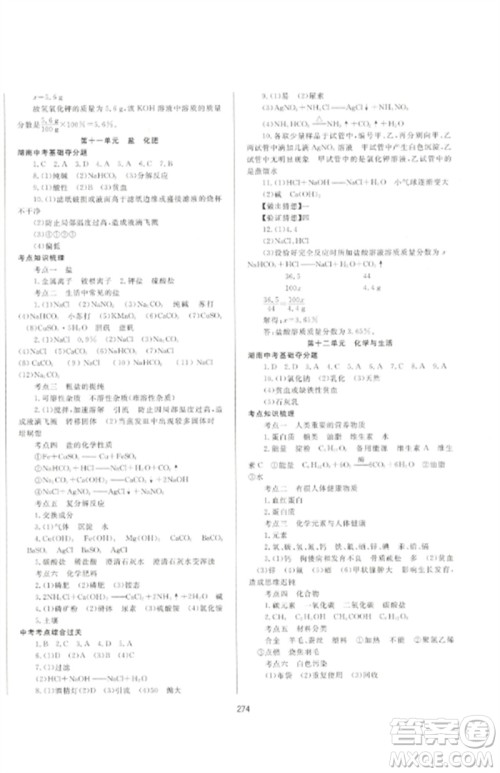 延边大学出版社2023中考先锋中考总复习九年级化学通用版参考答案