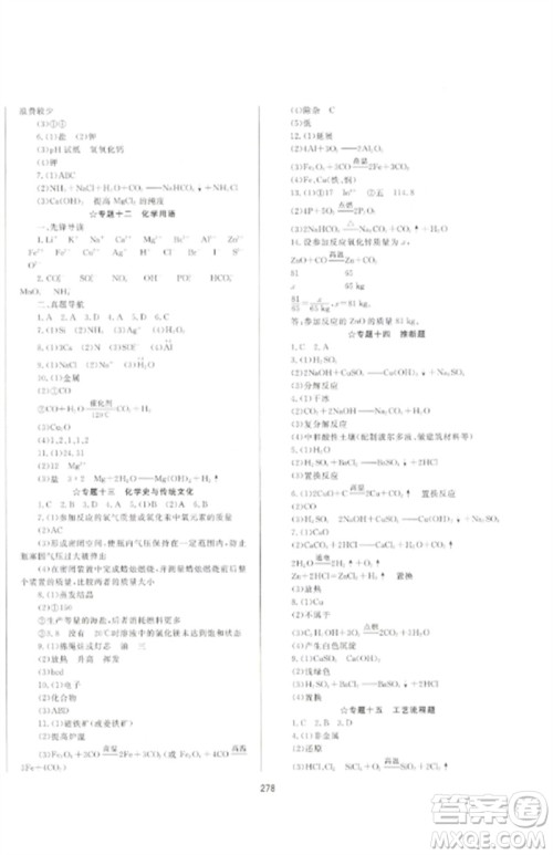 延边大学出版社2023中考先锋中考总复习九年级化学通用版参考答案