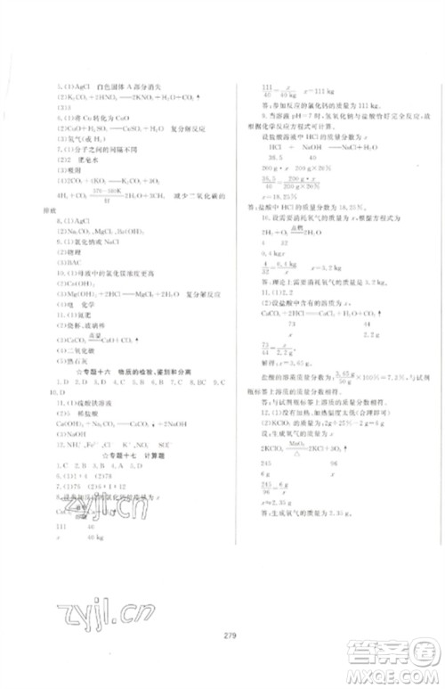 延边大学出版社2023中考先锋中考总复习九年级化学通用版参考答案