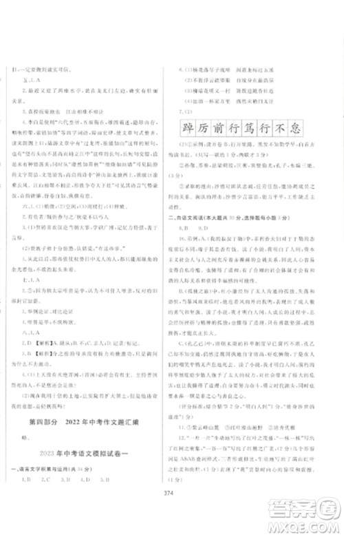 延边大学出版社2023中考先锋中考总复习九年级语文通用版参考答案 延边大学出版社2023中考先锋中考总复习九年级语文通用版参考答案