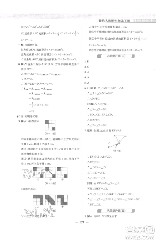 安徽教育出版社2023新编基础训练七年级下册数学人教版参考答案