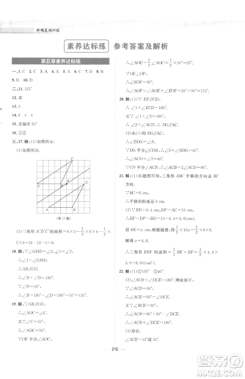 安徽教育出版社2023新编基础训练七年级下册数学人教版参考答案