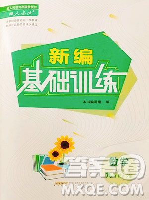 安徽教育出版社2023新编基础训练九年级下册数学人教版参考答案