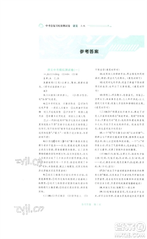 广西师范大学出版社2023中考先锋中考总复习配套测试卷九年级语文A版人教版参考答案 广西师范大学出版社2023中考先锋中考总复习配套测试卷九年级语文A版人教版参考答案