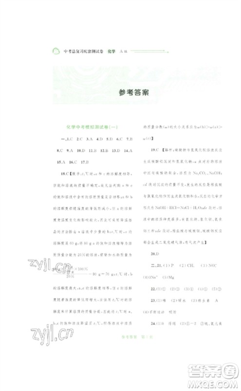 广西师范大学出版社2023中考先锋中考总复习配套测试卷九年级化学A版人教版参考答案