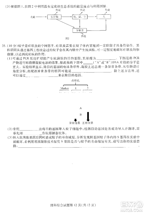 哈师大附中2023年高三第三次模拟考试理科综合能力测试试卷答案