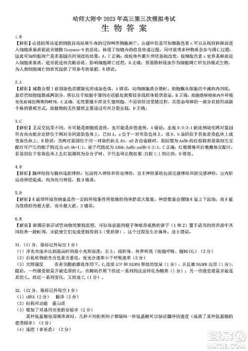 哈师大附中2023年高三第三次模拟考试理科综合能力测试试卷答案