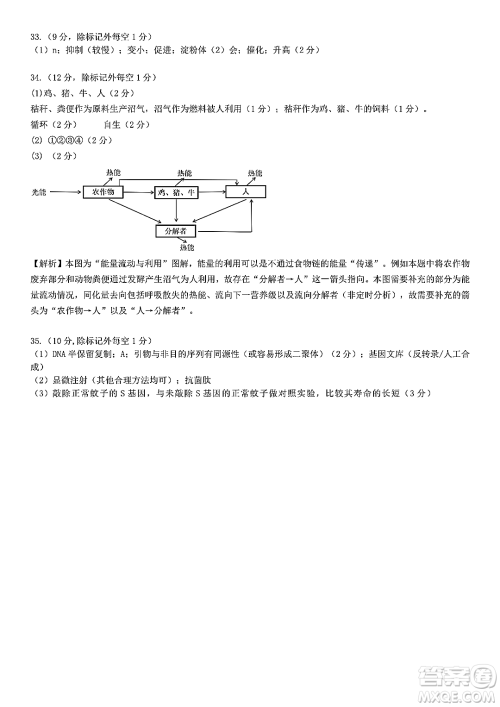 哈师大附中2023年高三第三次模拟考试理科综合能力测试试卷答案