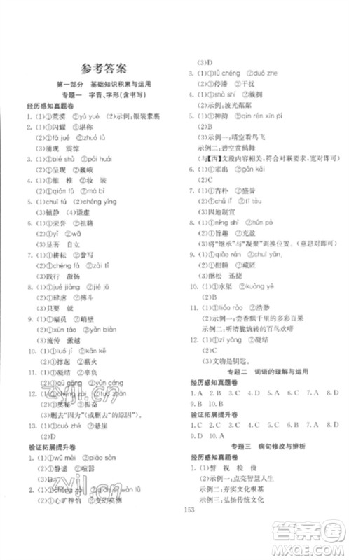 新疆文化出版社2023中考先锋初中总复习全程培优训练第一方案九年级语文通用版参考答案
