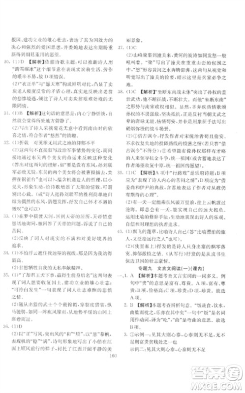 新疆文化出版社2023中考先锋初中总复习全程培优训练第一方案九年级语文通用版参考答案