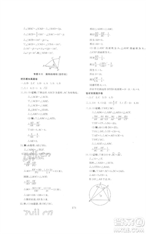 新疆文化出版社2023中考先锋初中总复习全程培优训练第一方案九年级数学通用版参考答案