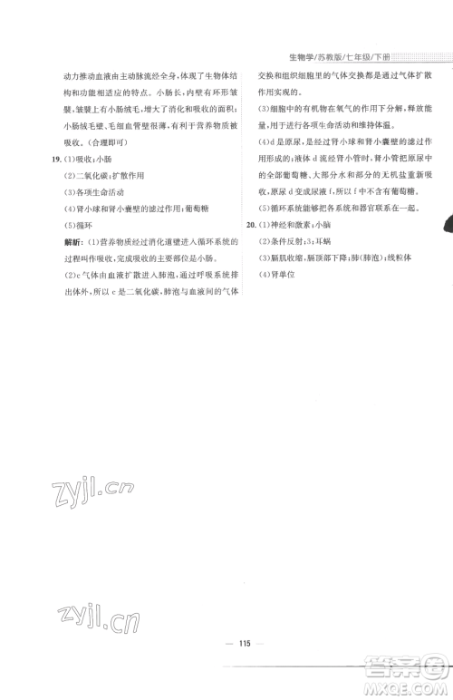 安徽教育出版社2023新编基础训练七年级下册生物苏教版参考答案 安徽教育出版社2023新编基础训练七年级下册生物苏教版参考答案