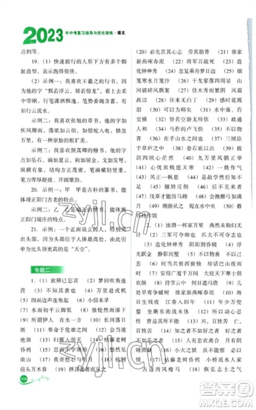 山西教育出版社2023中考复习指导与优化训练九年级语文通用版参考答案