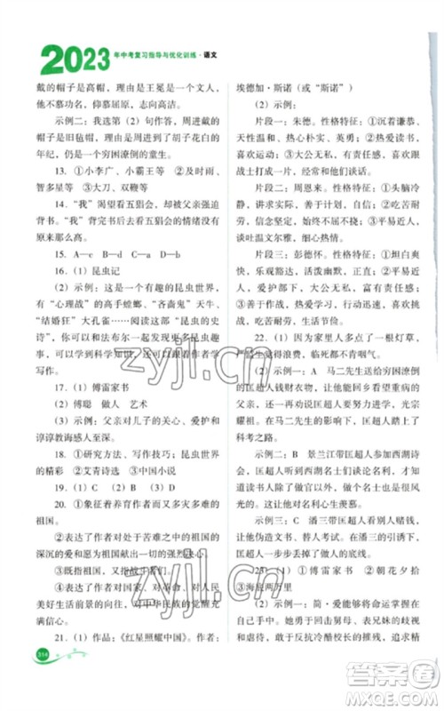 山西教育出版社2023中考复习指导与优化训练九年级语文通用版参考答案