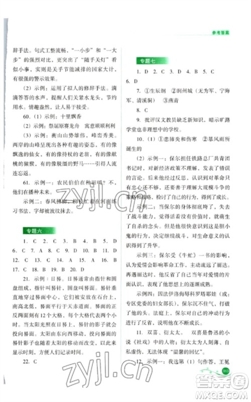 山西教育出版社2023中考复习指导与优化训练九年级语文通用版参考答案