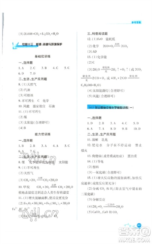 山西教育出版社2023中考复习指导与优化训练九年级化学通用版参考答案 山西教育出版社2023中考复习指导与优化训练九年级化学通用版参考答案