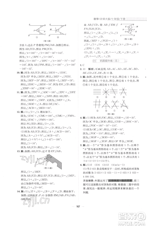 安徽教育出版社2023新编基础训练七年级下册数学北师大版参考答案