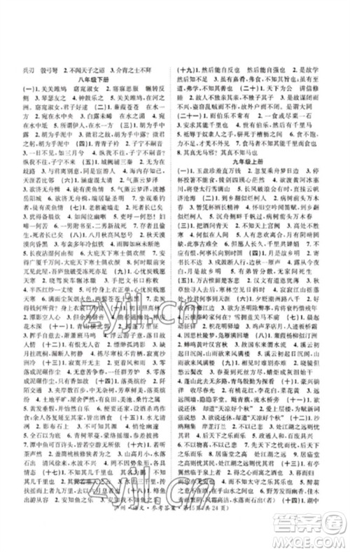 长江出版社2023中考复习总动员九年级语文通用版泸州专版参考答案