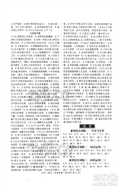 长江出版社2023中考复习总动员九年级语文通用版泸州专版参考答案