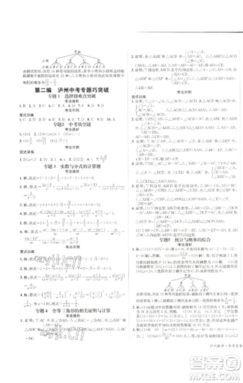 长江出版社2023中考复习总动员九年级数学通用版泸州专版参考答案