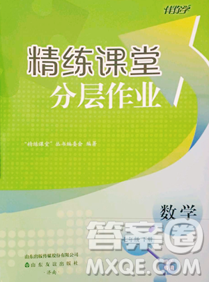 山东友谊出版社2023精练课堂分层作业七年级下册数学人教版临沂专版参考答案