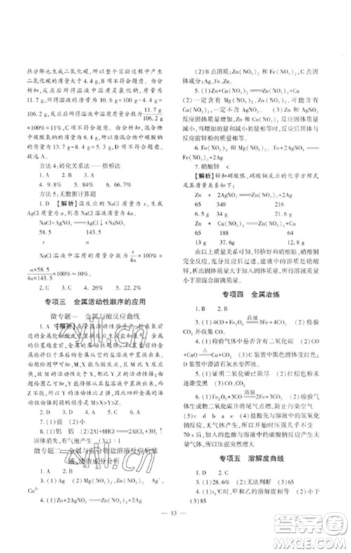 大象出版社2023中考复习精讲与测试九年级化学通用版参考答案 大象出版社2023中考复习精讲与测试九年级化学通用版参考答案