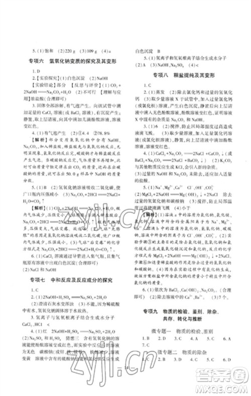 大象出版社2023中考复习精讲与测试九年级化学通用版参考答案 大象出版社2023中考复习精讲与测试九年级化学通用版参考答案