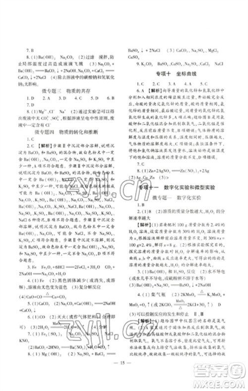 大象出版社2023中考复习精讲与测试九年级化学通用版参考答案